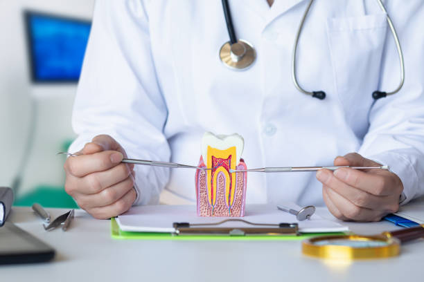 Best Pediatric Emergency Dentist in Preston, MN